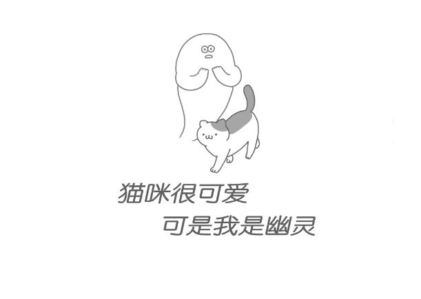 养猫游戏合集