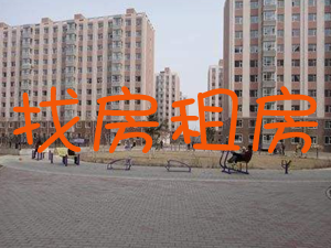 找房租房